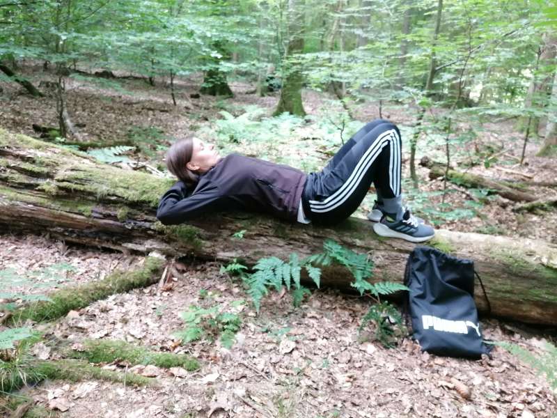 Entspannung pur im Sommerwald