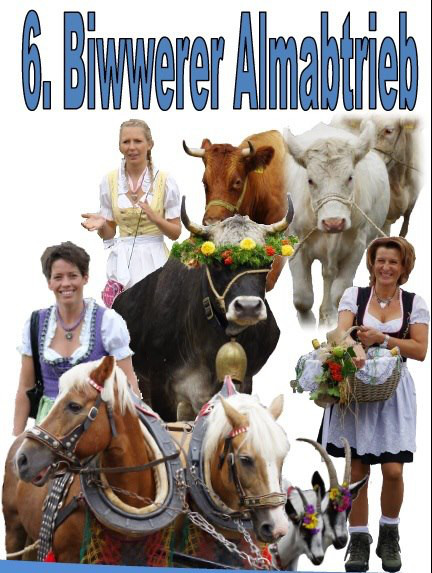 6. Biwwerer Almabtrieb