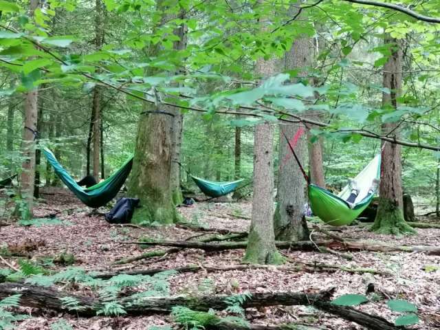 Abendliches Entspannungs-Waldbad mit Traumzeit in der Hängematte