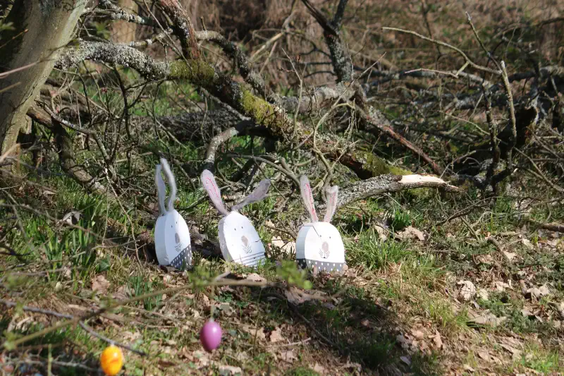 Osterweg in Ober Bessingen 