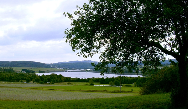 Fahrgastschiff Wappen von Limburg