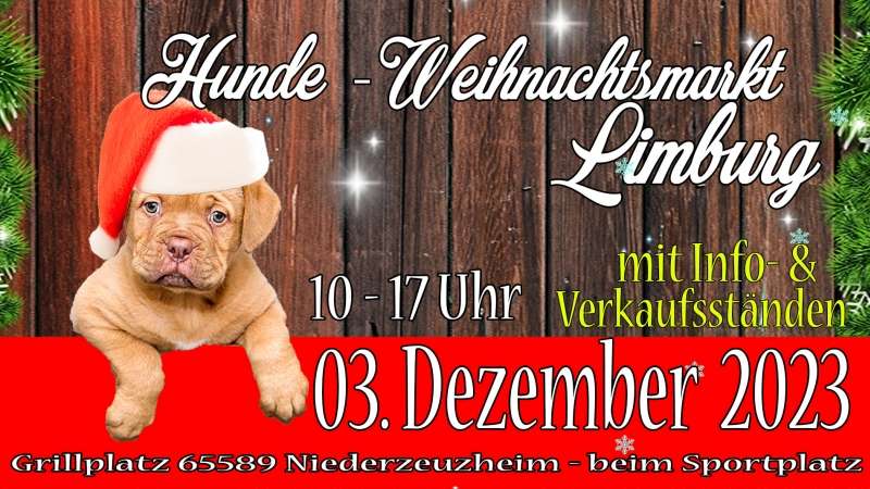 Limburger Hundeweihnachtsmarkt 2023