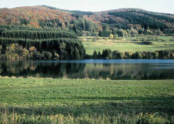 Perfstausee