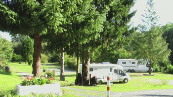 Campingplatz Waldcamp Meerbornsheide