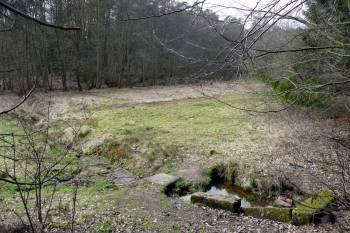 Der Drusenborn, auch Druidenborn genannt, ist eine der geheimnisvollsten Tümpelq