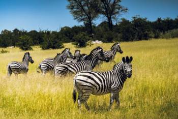 Warum ist Namibia ein Paradies für Fotografen?