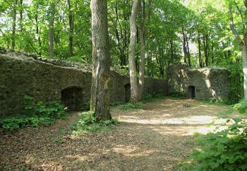 Burgruine Eigenberg, die sogenannte Maienburg