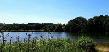 Waldsee Probbach Waldsee Probbach