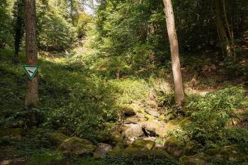 Leyenbach-Wasserfall Nenderoth
