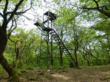 Aussichtsturm auf dem Köpfchen