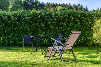 Eine Hecke bietet Sichtschutz im Garten