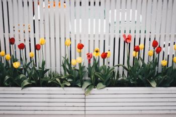 Gartenzäune gibt es in vielen verschiedenen Arten, Materialien und Ausführungen.