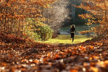 Aktivitäten für kalte Tage im Herbst