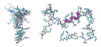 Peptide: Kurs der Einnahme und Dosierung