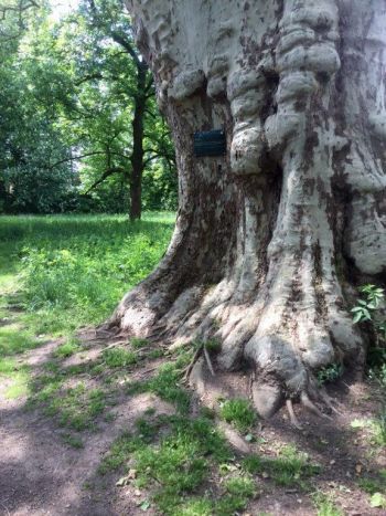 Poesie am Wegesrand - Wege zur Poesie Innehalten - Entschleunigen