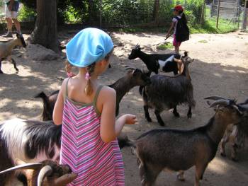 Streichelgehege Vogelpark Schotten