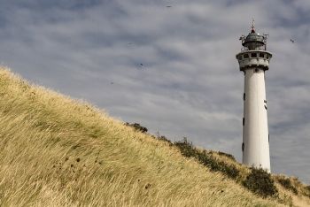 Genießen Sie einen Urlaub mit der ganzen Familie an der niederländischen Küste