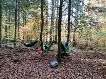 Waldbaden im Herbst ist Genuss in allen Facetten   