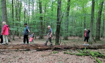 Gutscheine für Waldbaden in Laubach: Gemeinsame Zeit und Entspannung schenken