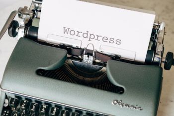 WordPress - was sich hinter dem Content-Management-System verbirgt