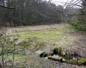 Der Drusenborn, auch Druidenborn genannt, ist eine der geheimnisvollsten Tümpelq