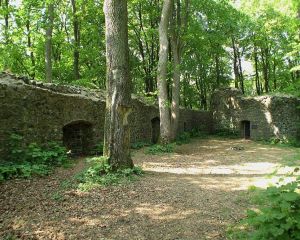 Burgruine Eigenberg, die sogenannte Maienburg