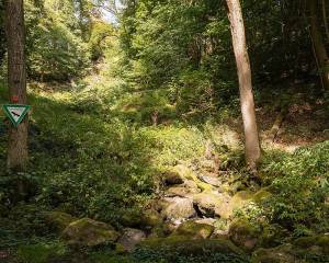Leyenbach-Wasserfall Nenderoth