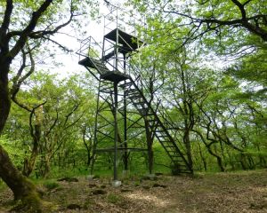 Aussichtsturm auf dem Köpfchen