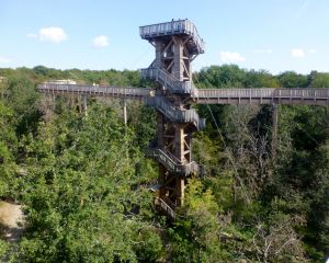 Baumwipfelweg Bad Camberg