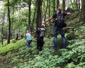 Bogenschießen ab September am Wochenende in Laubach