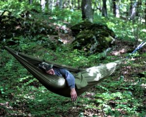 Sommer-Waldbaden im Laubacher Forst