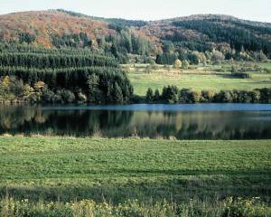 Perfstausee