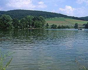 Pfordter See