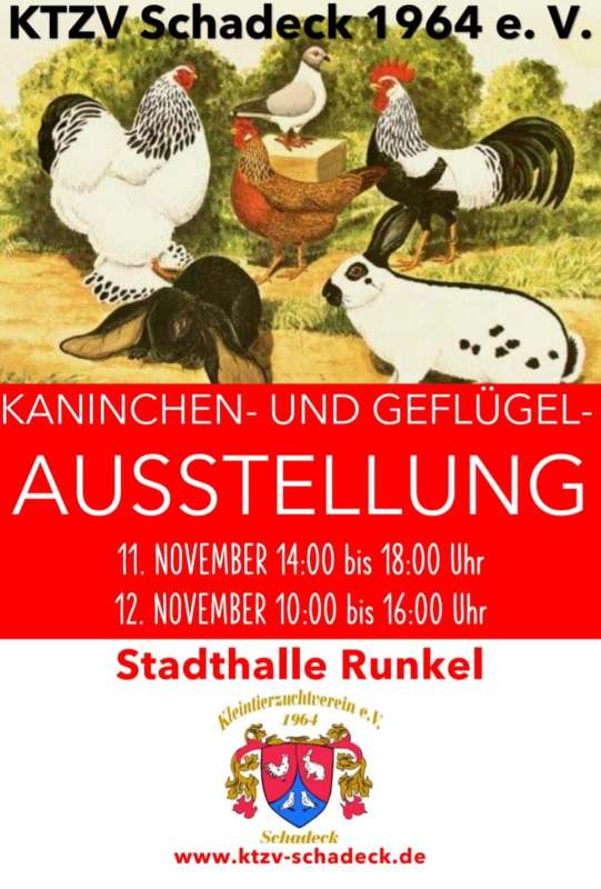 Kaninchen- und Geflügelausstellung Runkel