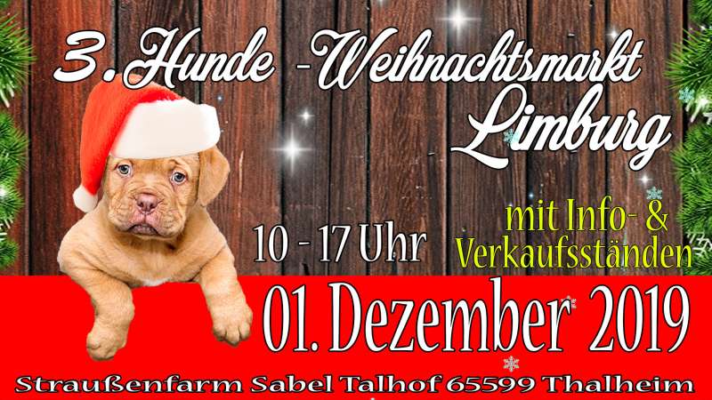 3. Limburger Hundeweihnachtsmarkt