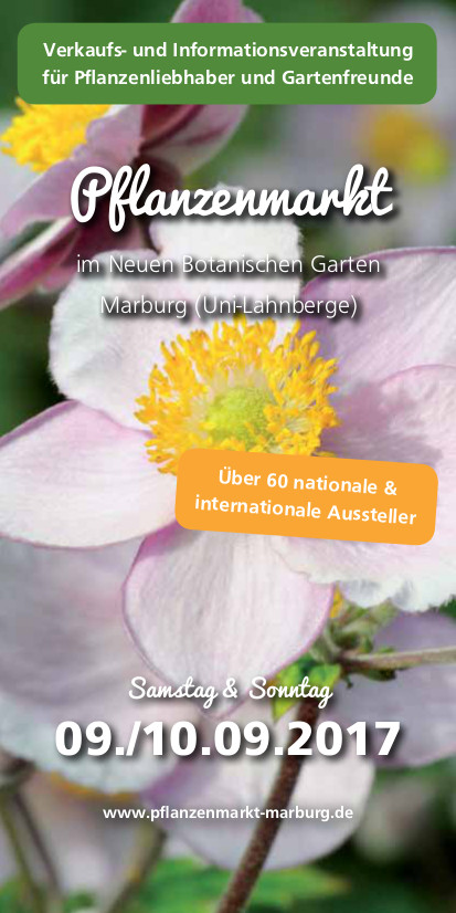 Pflanzenmarkt im Botanischen Garten Marburg 2017