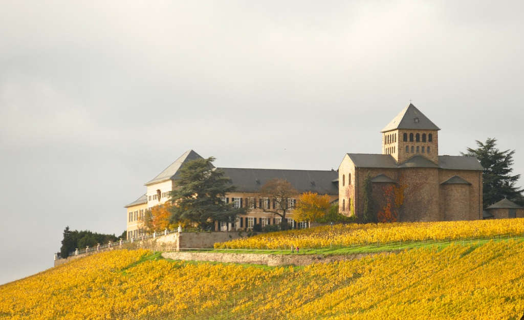 Schloss Rheingau