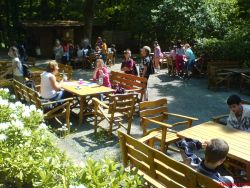 Wildpark Donsbach Biergarten.jpg